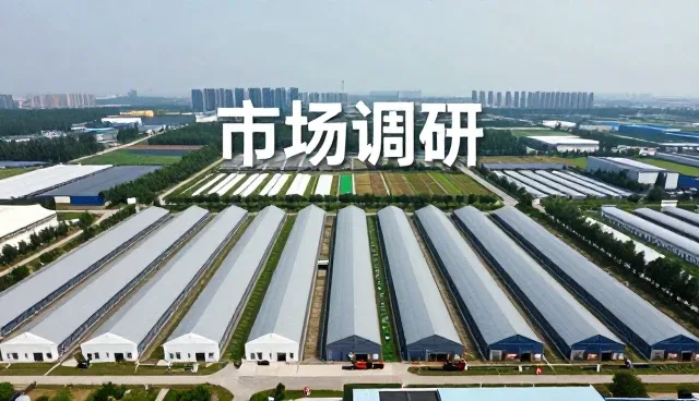 市场调研报告资讯如何推动企业决策优化